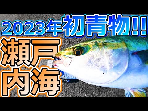 【ショアジギ釣行記♯8】ルアー & アジの泳がせ釣りで春の青物を狙ってみた!!【愛媛県・四国中央市】
