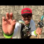 【バス釣り】まっちゃんの春満開してるって