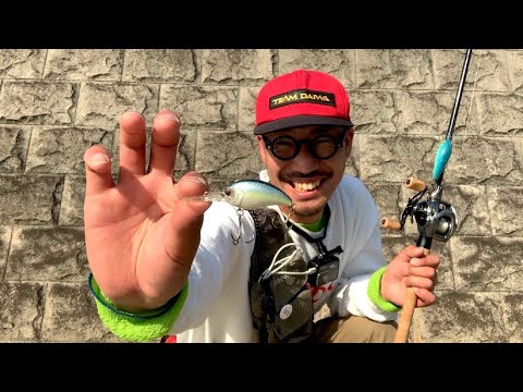 【バス釣り】まっちゃんの春満開してるって