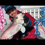 徳島沖の紀伊水道でアマラバチャレンジ【ガッ釣り関西192】