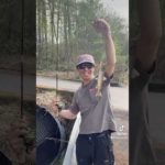 渓流釣りアルアル