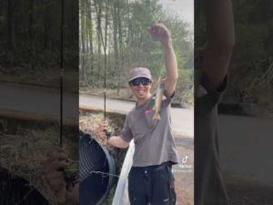 渓流釣りアルアル