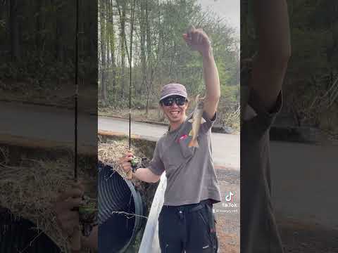 渓流釣りアルアル