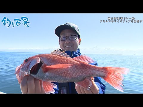 【釣り百景】#482 絶景の富山湾を満喫！アカムツ・スルメイカ他豪華リレー