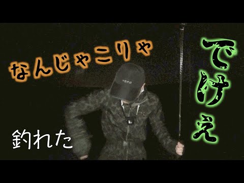 タチウオ釣りにサーフでショアジギングしていると大型青物がヒット！！