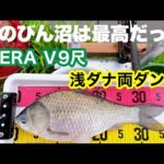 【ヘラブナ釣り】雨のびん沼でパラソル初下ろし⛱🎣