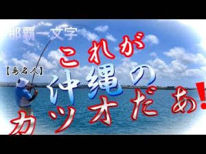 【カゴ釣り】名人の4kスマガツオ⭐️