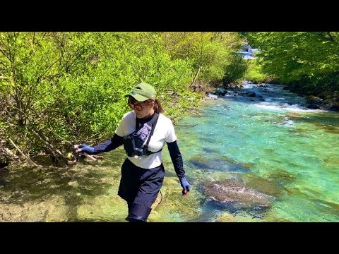 【渓流釣り】今日もあの最強ミノーに狂ったように食らいついてきた