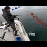 船釣りを始めて１番の大物！！