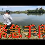 【バス釣り】ダイバー仕込んだ？？短時間で連発した理由とは・・・