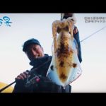 【釣り百景】#486 春の大型アオリイカその１杯を手にするための鍵