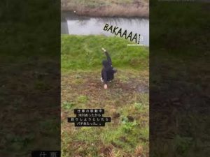 痛すぎるわ！笑 #バス釣り #ブラックバス #ラージマウスバス #家族 #爆笑 #釣り #釣りガール #釣り女子 #ハプニング #爆笑 #ハプニング #shorts#バスフィッシング