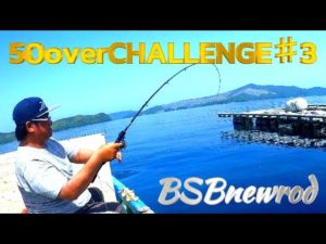 【かかり釣り】＃3しんちゃん年無しを狙う