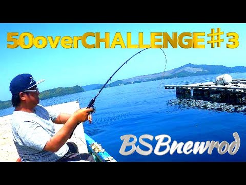 【かかり釣り】＃3しんちゃん年無しを狙う