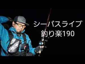 シーバスライブ【釣り楽190】