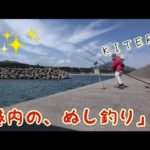 【北海道釣り】【道南釣り】隣の人がメガカレイ釣ったから翌週真似してみたｗ