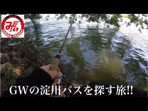 【淀川バス釣り】GWでもバスが釣りたい part1