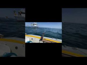 【緊急逮捕⁉️】海のBOSSがやってきた#加太 #友ヶ島 #ミニボート #鯛  #青物 #アジ #鯛釣り #アジ釣り #青物釣り #真鯛 #オフショア #紀北 #海上保安庁 #youtube