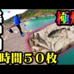【釣り】北海道・カレイ・爆釣・時合・入れ食い・神回・投げ釣り：2023年
