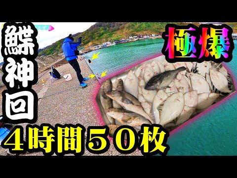 【釣り】北海道・カレイ・爆釣・時合・入れ食い・神回・投げ釣り：2023年