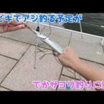 サビキでアジ釣る予定がでかサヨリ釣りに変更