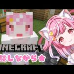 【Minecraft】釣りとかしつつ🌟のんびり雑談💖【Vtuber / #猫姫ちゅんちゅん】雑談  マインクラフト