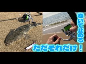 【マゴチ釣り】三重サーフで初夏を満喫！　マゴチは巻いて止めれば釣れる！？