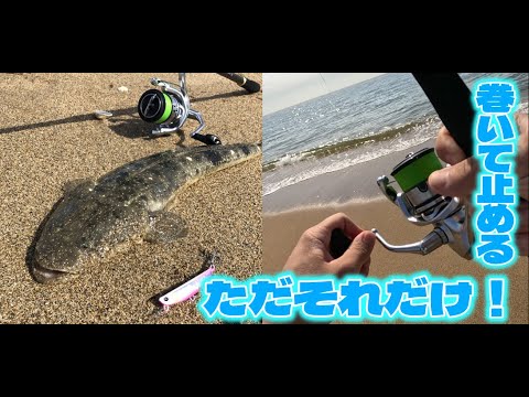 【マゴチ釣り】三重サーフで初夏を満喫！　マゴチは巻いて止めれば釣れる！？