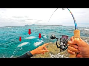 大物の群れがルアーを襲う