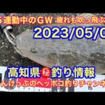 【高知県㊙️釣り情報】ＧＷ後半、１５連勤中ですが、釣りには行きますよ〜（笑）