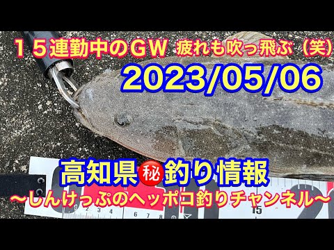 【高知県㊙️釣り情報】ＧＷ後半、１５連勤中ですが、釣りには行きますよ〜（笑）