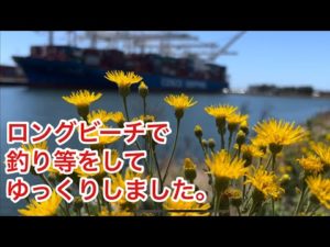 ロングビーチで釣り等￼をしてゆっくりしました。