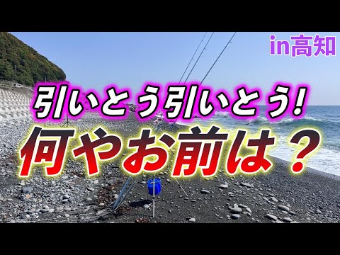 【投げ釣り最高！幸先の良いスタート】第17回ふぐ名人のダーツの釣り！【第1話】