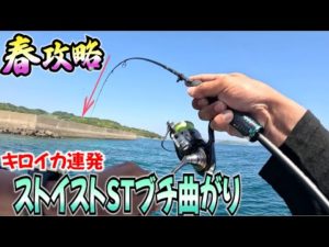 春イカエギングあて潮攻略でキロアップ連発！予想した潮回りがヒット！　#エギング #春イカ #キロアップ