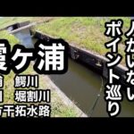 霞ヶ浦ガラ空きポイント⁈今週のバス釣り2023年5月12日