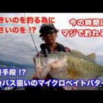 最終手段 !? デカバス狙いのマイクロベイトパターン【琵琶湖バス釣り】
