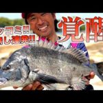 乗っ込みチヌを数釣り⁉︎沈め釣りで大爆釣‼︎
