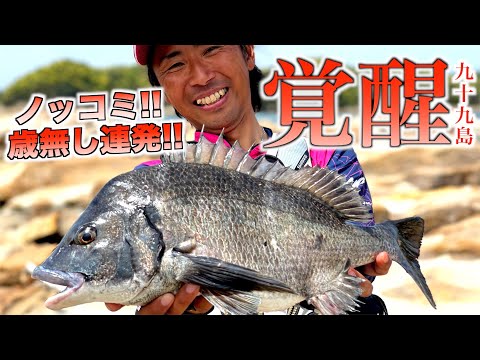 乗っ込みチヌを数釣り⁉︎沈め釣りで大爆釣‼︎