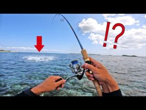 大物が食いついてドラグが止まらねぇ