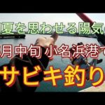 初夏を思わせる小名浜5月中旬のサビキ釣り