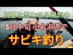 初夏を思わせる小名浜5月中旬のサビキ釣り