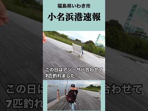 【速報】福島県いわき市小名浜港の釣り状況　#fishing #fishingirl #いわきの釣り