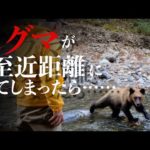 実録！ヒグマが至近距離に……その時どうする？