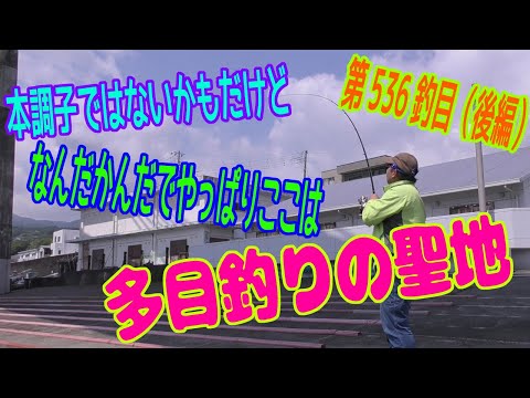釣り動画ロマンを求めて 536釣目（後編）
