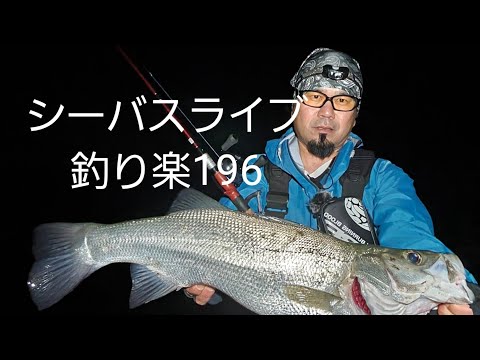 シーバス【釣り楽196】