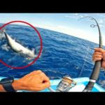 泳がせ釣りで80㎝超えの大物が釣れた【初魚種】