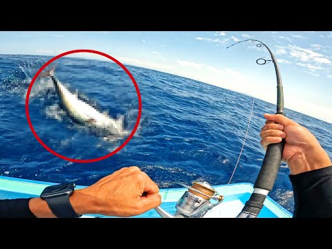 泳がせ釣りで80㎝超えの大物が釣れた【初魚種】