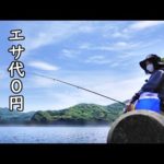 エサ代０円釣り生活！
