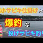 極小サビキ仕掛けなら爆釣な投げサビキ釣り 衣浦湾 アジング