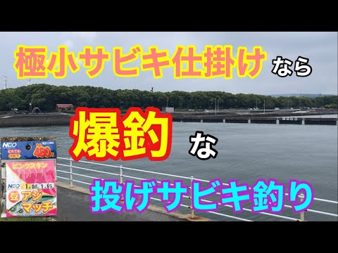 極小サビキ仕掛けなら爆釣な投げサビキ釣り 衣浦湾 アジング